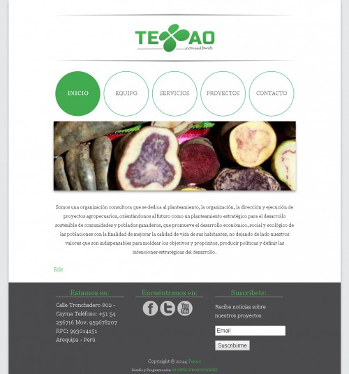 Texao Consultora